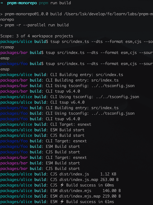 pnpm -r --parallel