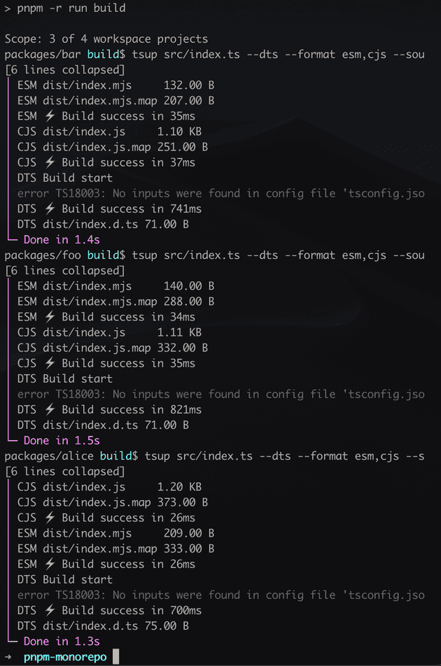 pnpm -r run build